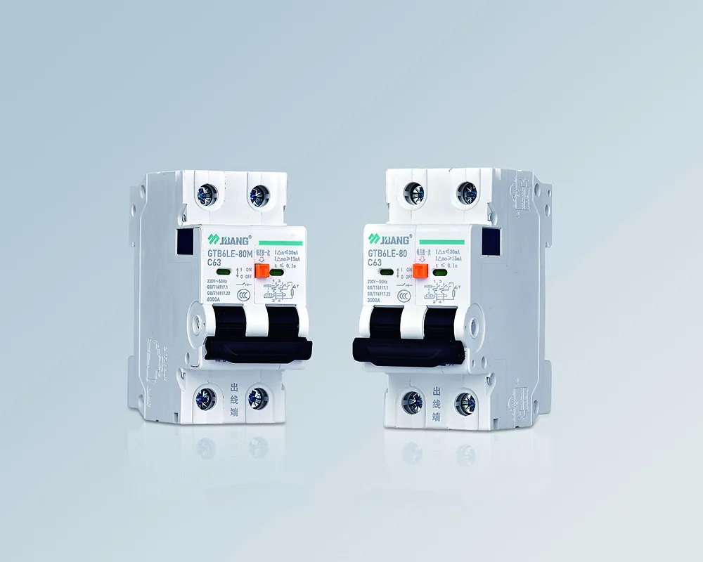 GTB6LE-80 Series Mini earth leakage circuit breaker