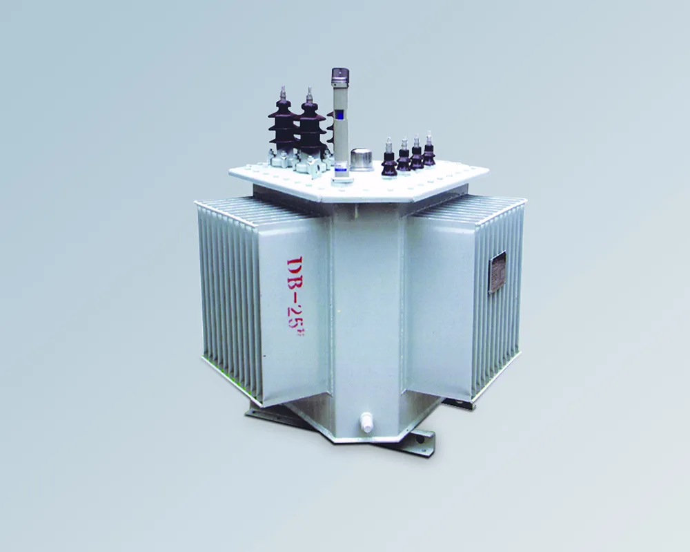 Oil-immersed power transformer for project-specific transport document review