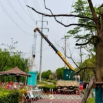 New Residential Amenities Improvement Project in Xingyuanchang Community, Jiangxia District, Wuhan City (20130852)